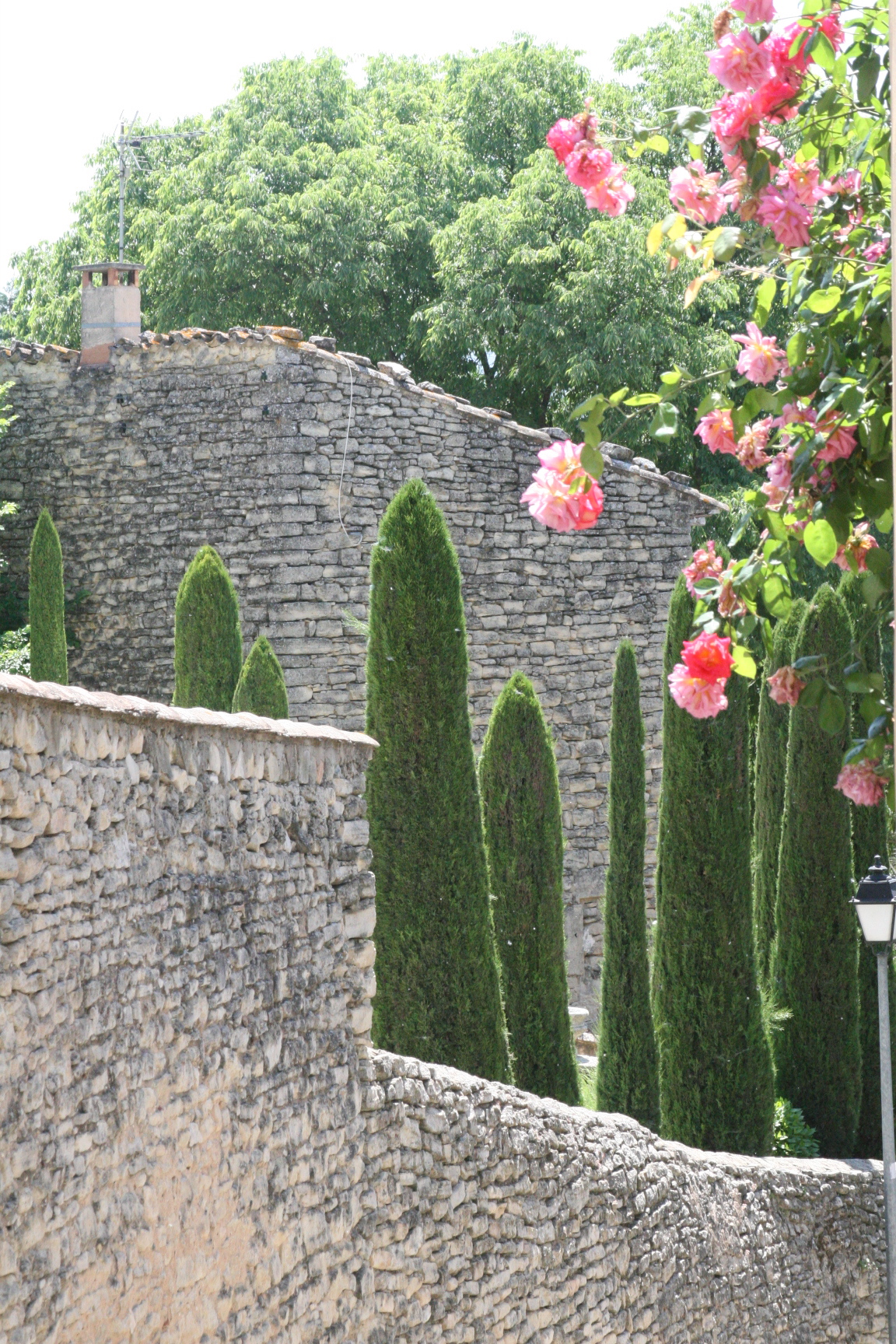 The French Muse Experience Corey Amaro, France, Provence