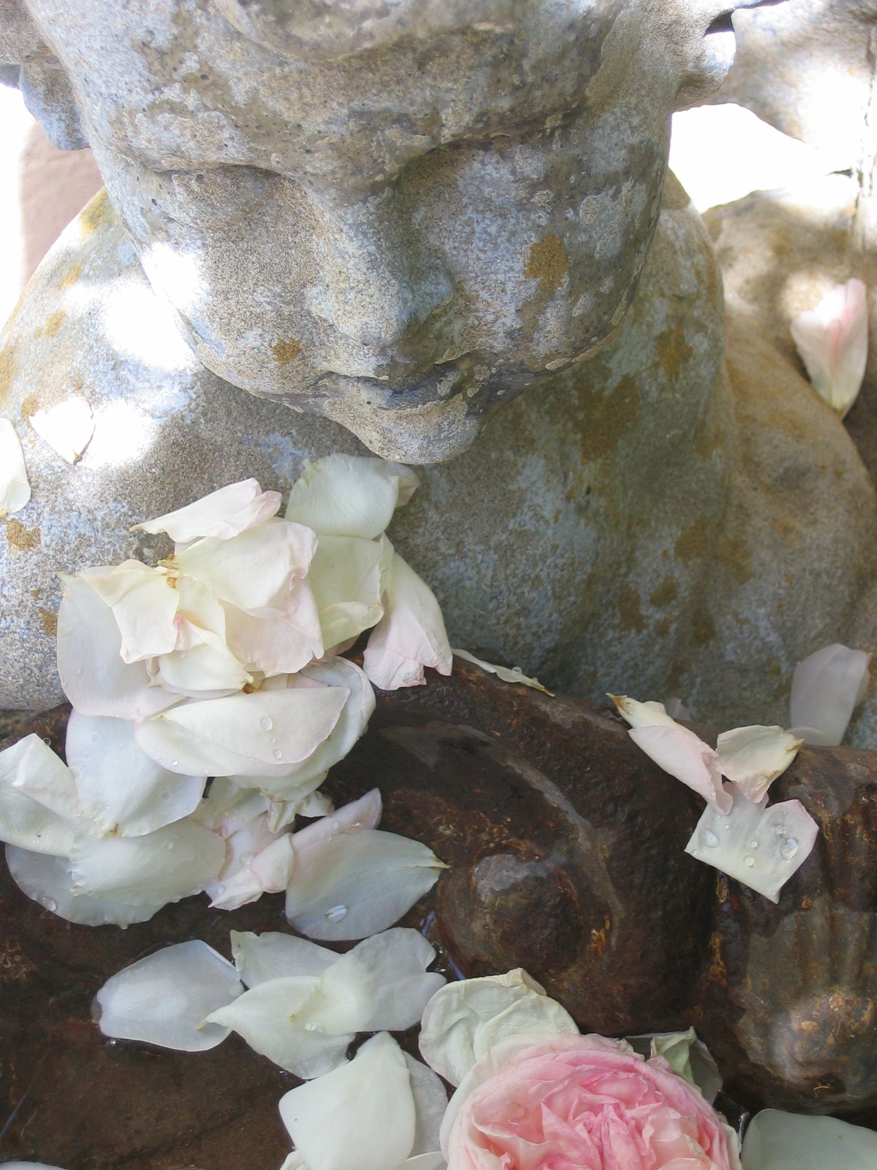 The French Muse Experience Corey Amaro, France, Provence