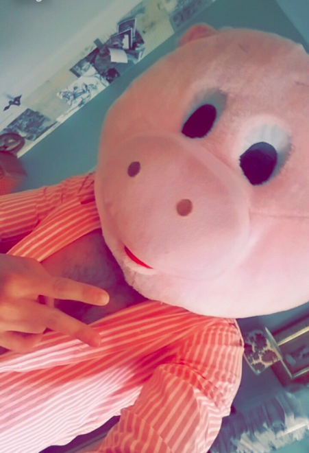 PIg fun