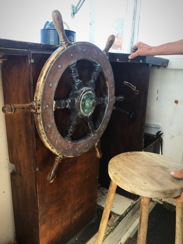 Cassis, boat, what to do in the afternoon