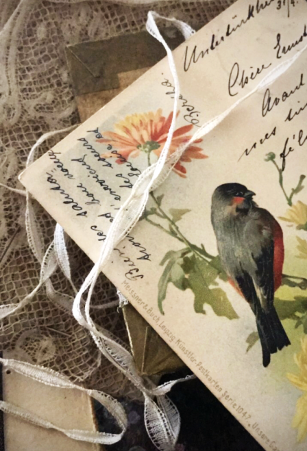 Corey Amaro Blog, living in France