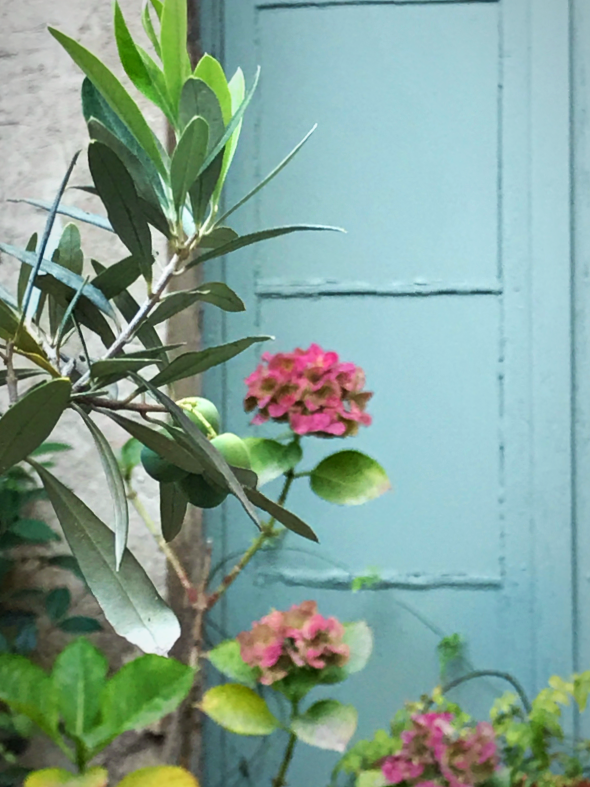 French Muse, Corey Amaro, France, French 