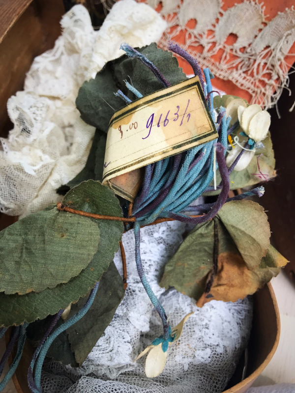 French Muse, Corey Amaro, France, French 