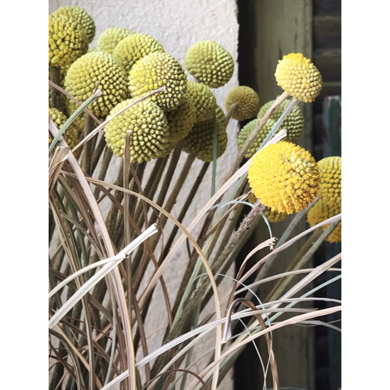 851790CC-F446-4308-9E6A-94507562F097