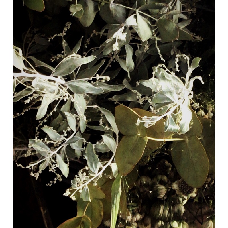 9B3F537C-2F1B-4591-8D72-3E8D7049459E