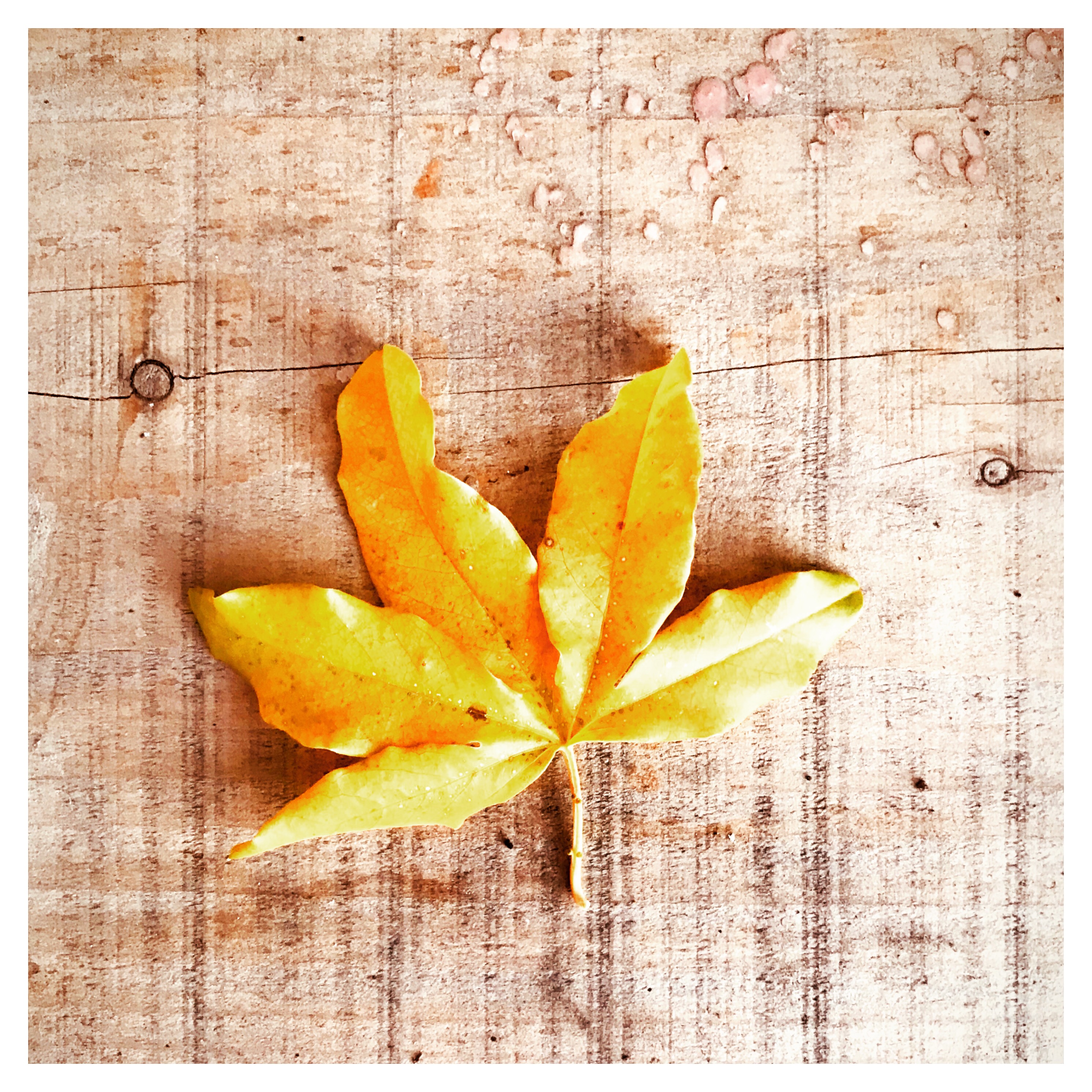 4BFBF348-C6E7-4EE6-AED8-F92790429DF0