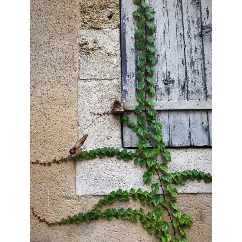 5A071027-DCEE-4EAF-A87A-2AB3D60E671B