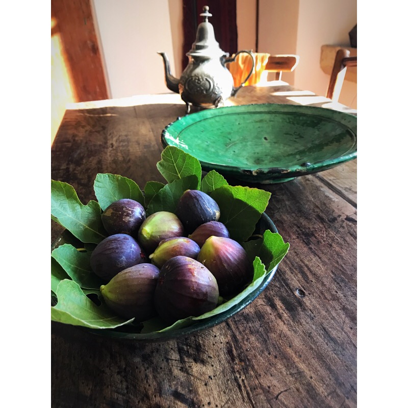 440EC58B-FDF9-4E1E-BD57-A4AAADC93166