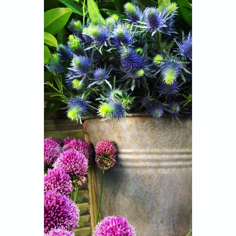 E3A99867-6AA2-4043-A0E9-A71E0C44A1AE