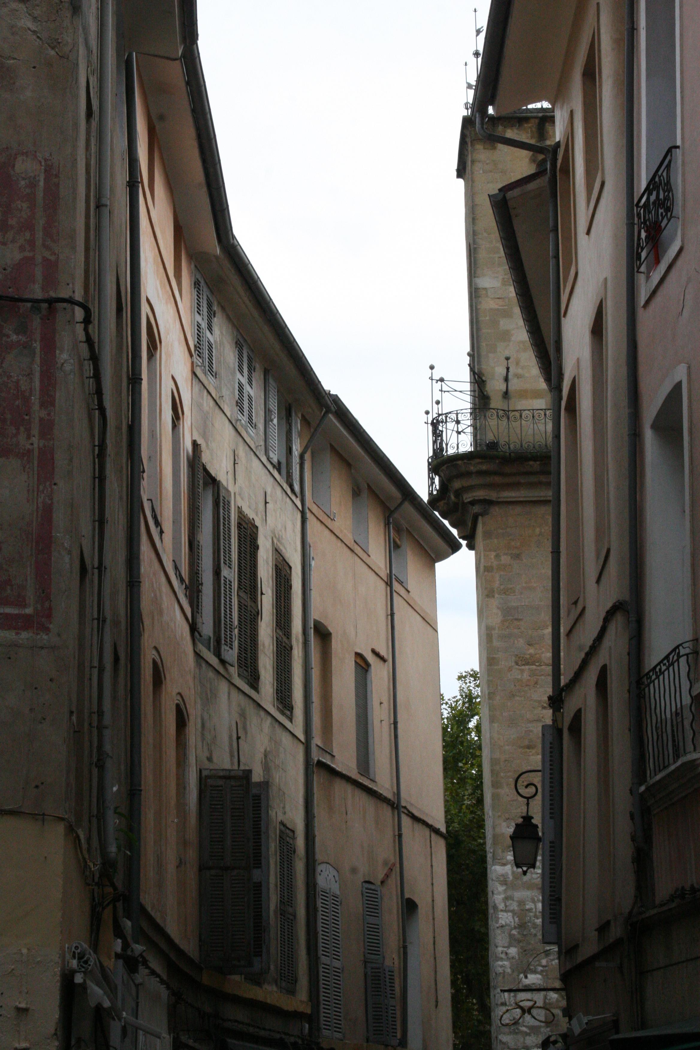 corey amaro tongue in cheek blog