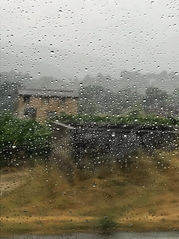 rainy day in Provence, Corey Amaro, 