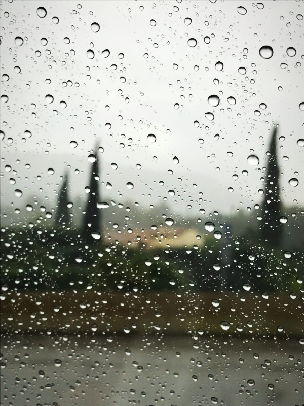 rainy day in Provence, Corey Amaro, 