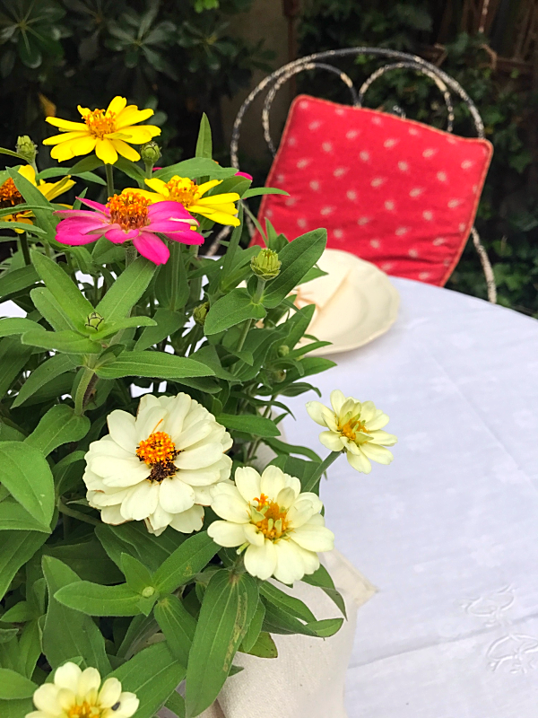 provencal party, Corey Amaro