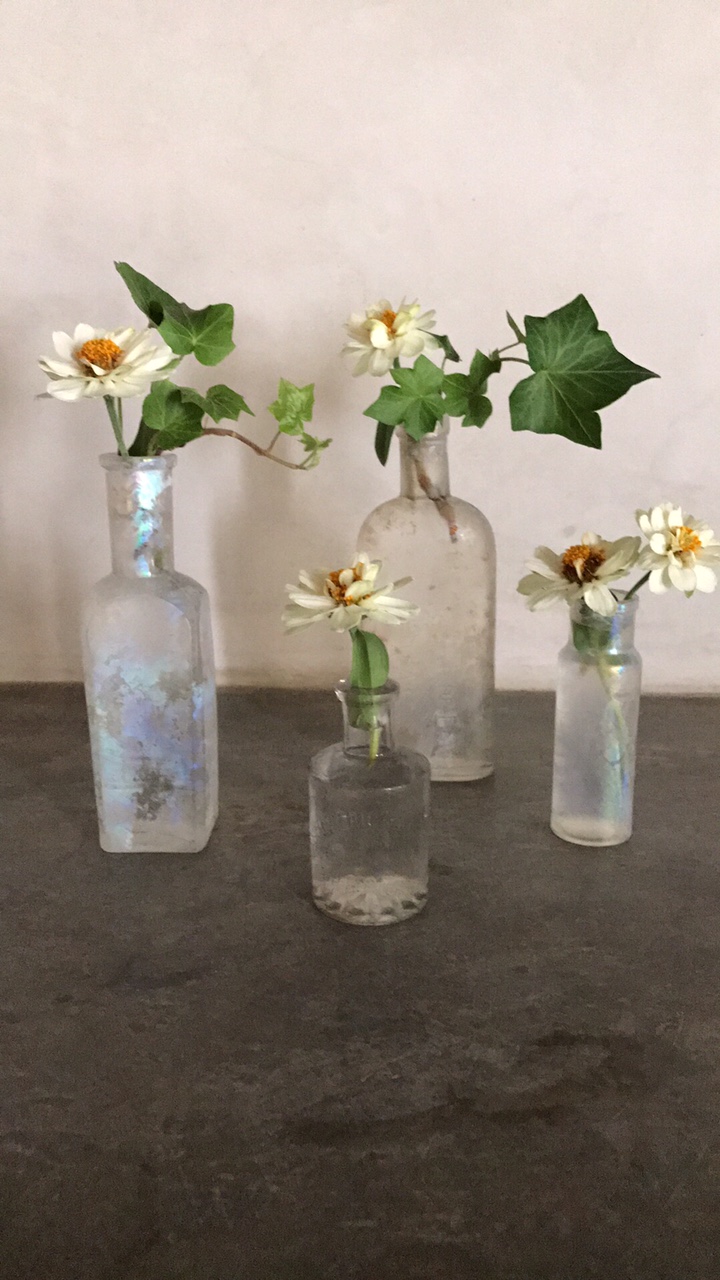 corey amaro photo bottle with flower