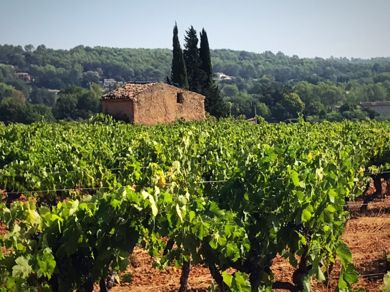 lunch, Provence, Corey Amaro