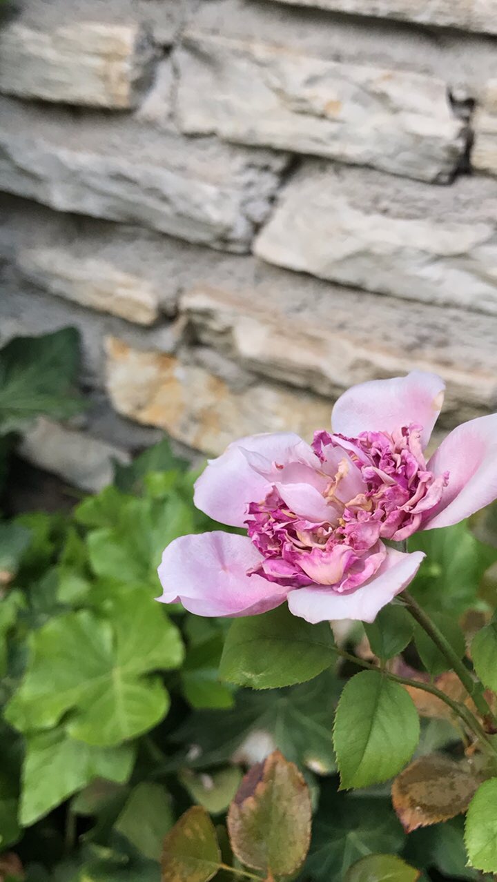 0A8FE7D4-09D0-4AEF-87CB-52BFBC3CE642 0A8FE7D4-09D0-4AEF-87CB-52BFBC3CE642