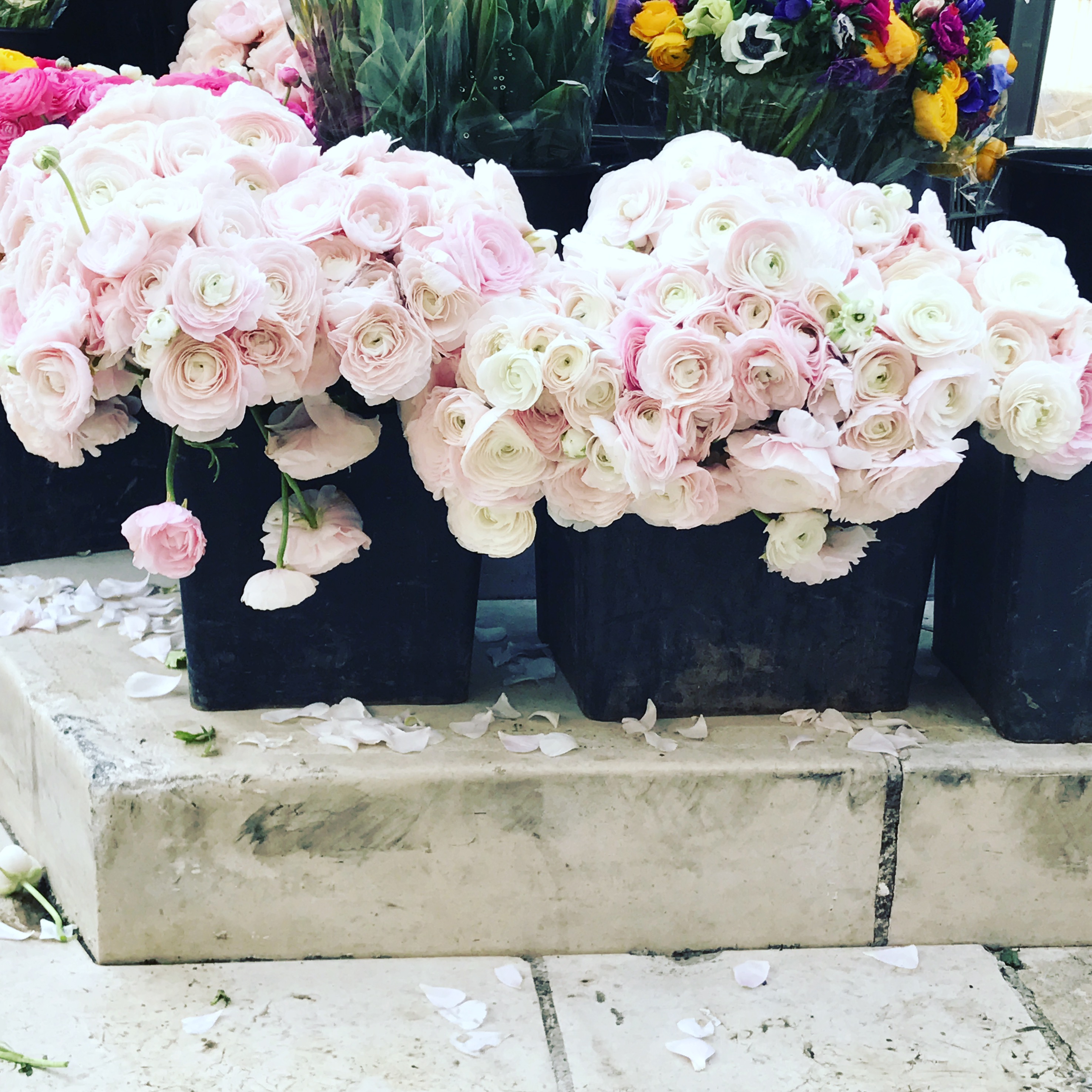 2E2886FB-2919-4DAE-953E-2100281621A1 2E2886FB-2919-4DAE-953E-2100281621A1