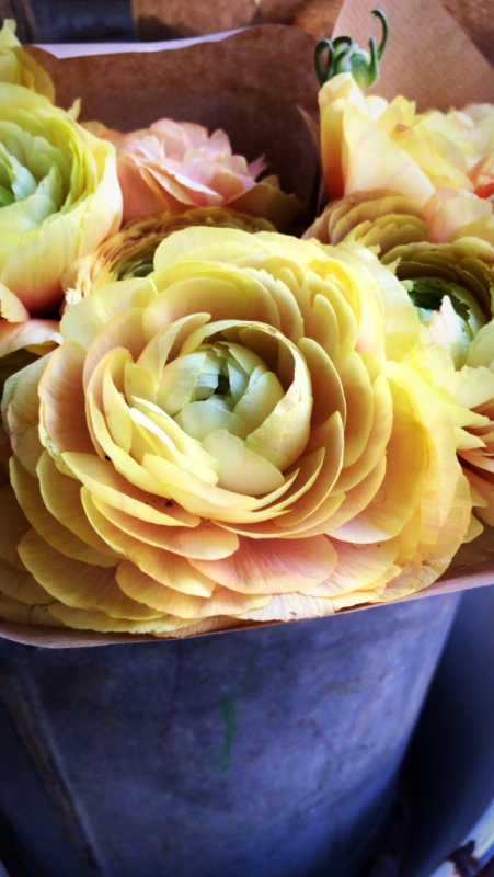 flowers in France, French decor, cassis, corey amaro, living in france