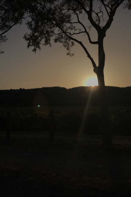 French Evening in Cassis