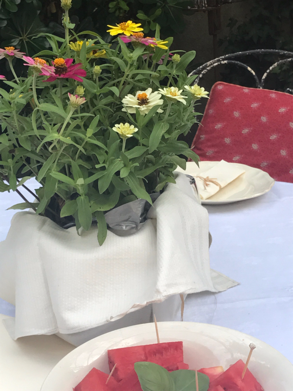 provencal party, Corey Amaro