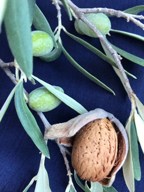 lunch, Provence, Corey Amaro