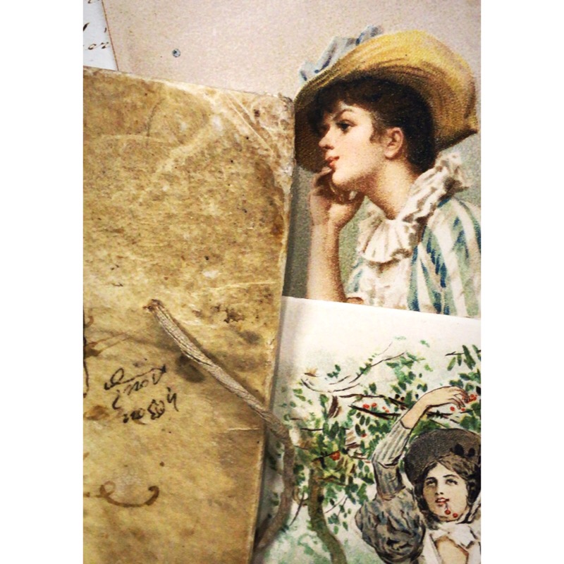 E8DBB3A9-7D7B-489D-B4C4-301A019A1342