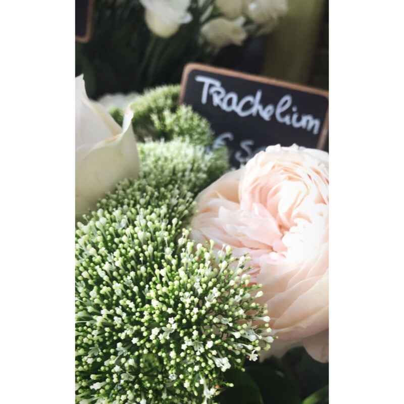 BCF54B41-0082-4C5B-9AA1-19E41917B2B8