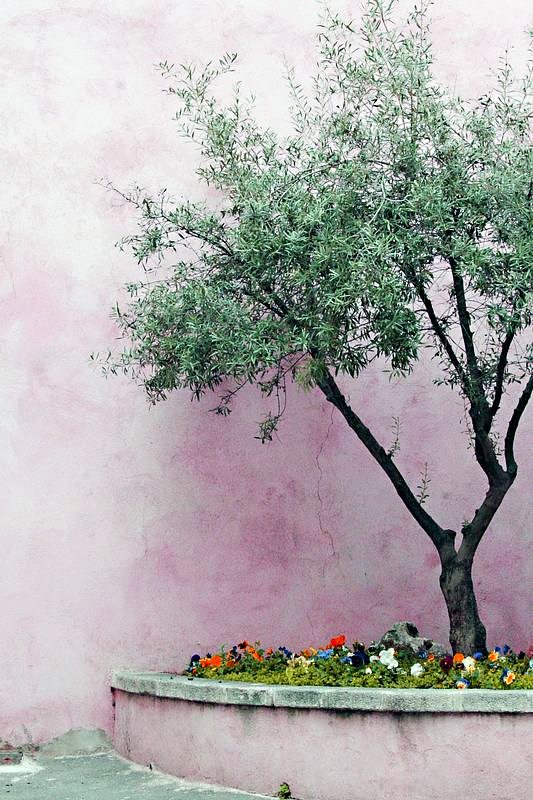 Postcards from a French Village by Corey Amaro