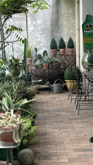 Antiquing Once in a Lifetime