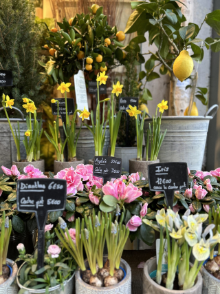 ED15F954-2DCC-4010-9E1E-052259CD9A80 ED15F954-2DCC-4010-9E1E-052259CD9A80