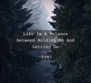 55BB3C0E-402F-4375-9D92-09FF2AAB8395 55BB3C0E-402F-4375-9D92-09FF2AAB8395