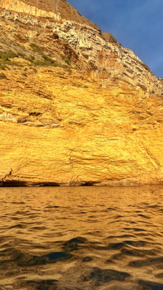 1376EF3A-096C-43C9-A1FD-FBDE957D5C0F 1376EF3A-096C-43C9-A1FD-FBDE957D5C0F