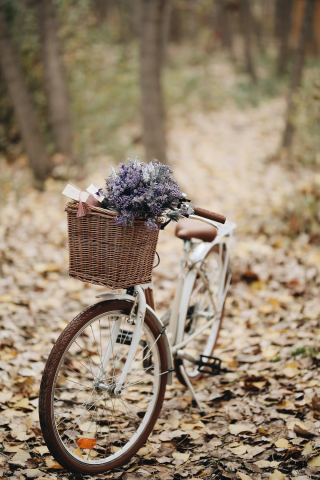 via Melike Benli via Melike Benli