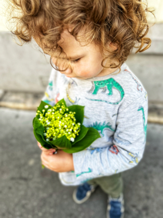 0308BF37-A8D0-4BEC-8361-A1DF7BC1E762 0308BF37-A8D0-4BEC-8361-A1DF7BC1E762