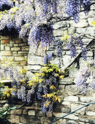 2FCF5B41-2E5F-4B2D-94DC-EBE1A0735F40 2FCF5B41-2E5F-4B2D-94DC-EBE1A0735F40