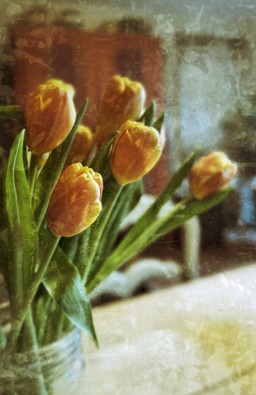 tulips