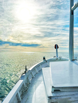 A80022F8-8C97-4681-AE56-984E8312B318 A80022F8-8C97-4681-AE56-984E8312B318