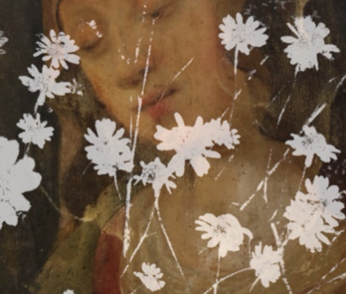 Corey Amaro Photo Corey Amaro Photo