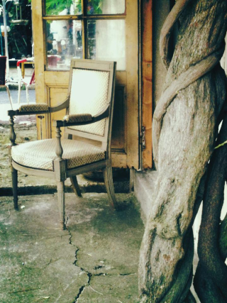 Brocante chair and vine