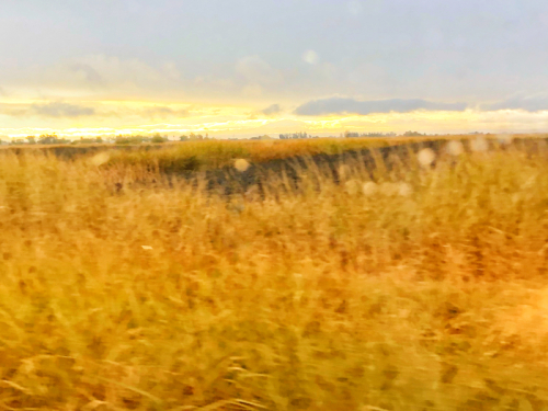 The Road Home The Road Home