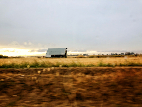 The Road Home The Road Home