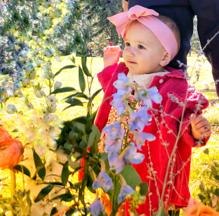 B88B06DC-D637-4B6A-BC4A-689E9B298946 B88B06DC-D637-4B6A-BC4A-689E9B298946