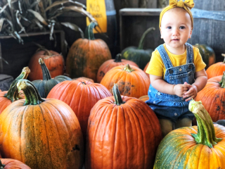 F19887F6-34B4-4728-9D31-C7FA4240FA76 F19887F6-34B4-4728-9D31-C7FA4240FA76