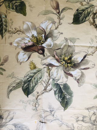 BA97000E-81E9-4961-BCB5-EA10059870D1 BA97000E-81E9-4961-BCB5-EA10059870D1