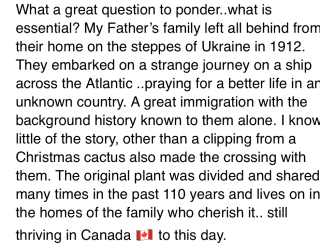 63C21DCE-3BFD-414B-9C2E-5E198A73EC2A 63C21DCE-3BFD-414B-9C2E-5E198A73EC2A