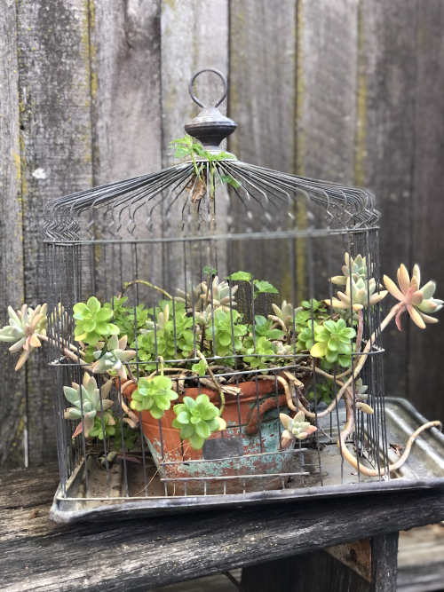 6D75BCEB-27DA-4C8A-A91B-22BBA3B95D49 C22BAAF3-BF62-443A-8BEE-140AF6E0C64D