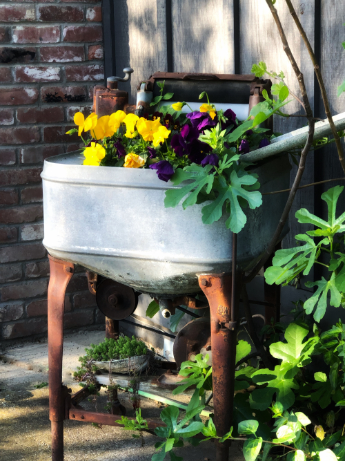 A8EBC8B5-68BC-4F06-A6D1-B867EE225D8D A8EBC8B5-68BC-4F06-A6D1-B867EE225D8D