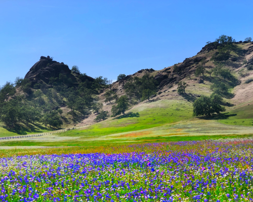 C1C991E8-9696-4737-8AF3-84CDB7D0876C C1C991E8-9696-4737-8AF3-84CDB7D0876C