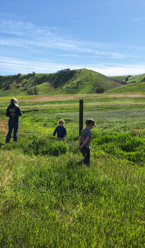 FACE7C6A-E62B-4E12-8814-7D4EAB74D56E FACE7C6A-E62B-4E12-8814-7D4EAB74D56E