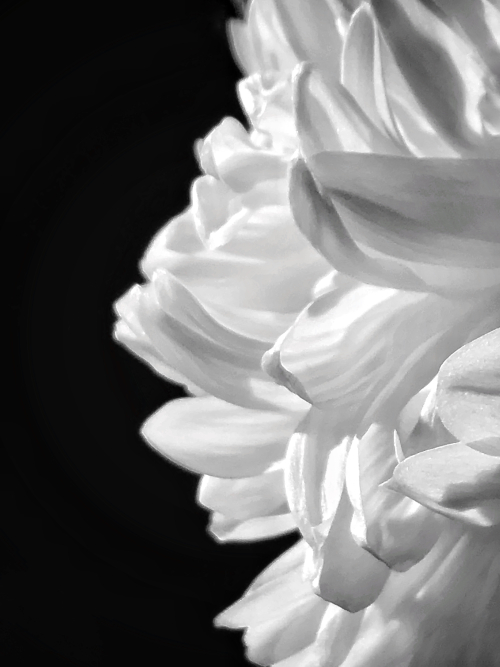 0B9FB073-3F52-4395-BFB7-AB85F6A025D6